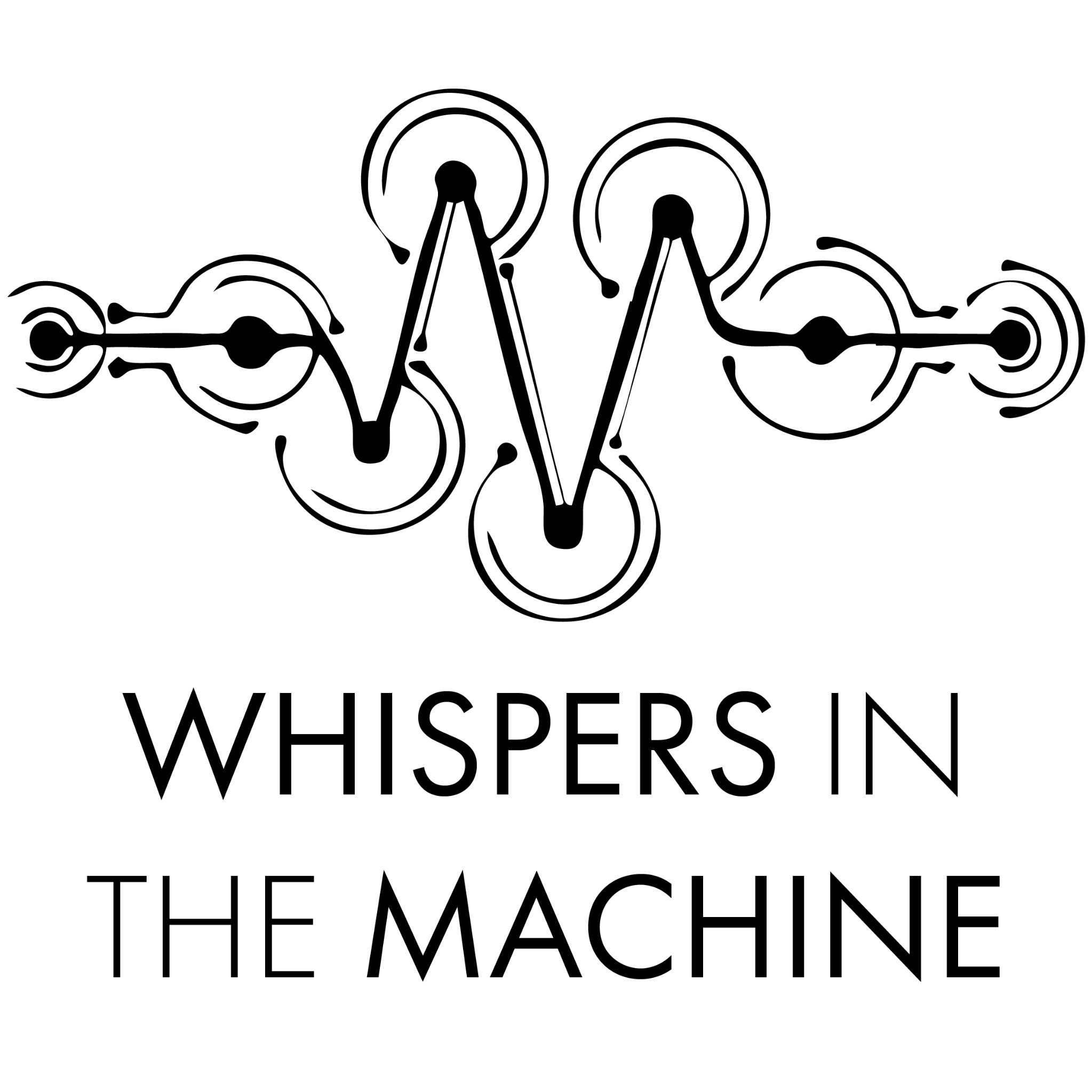 Whispers in the Machine